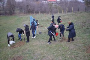 Proiectul ActiveCiuluc